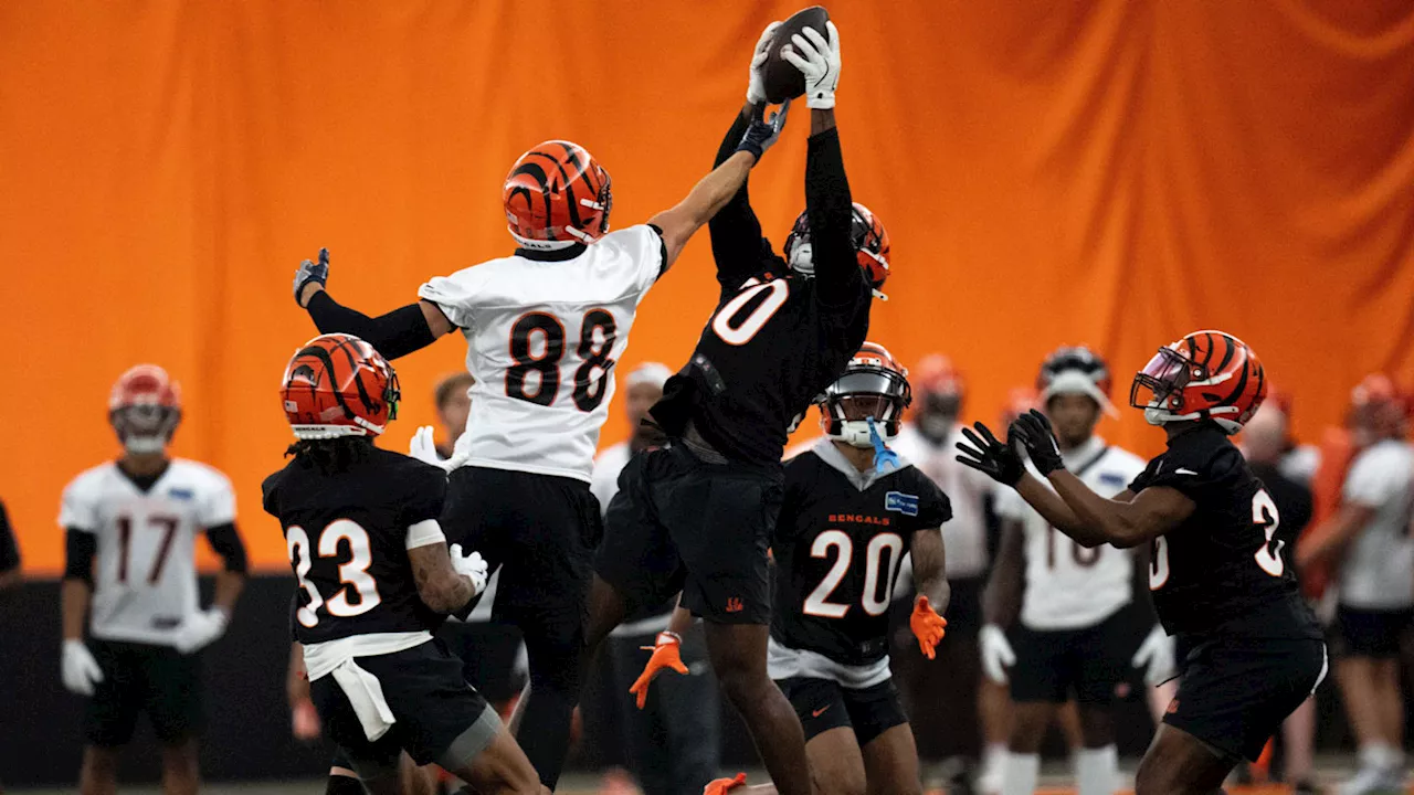 Look: Bengals Elevate Shaka Heyward, Devin Cochran From Practice Squad For Chargers G