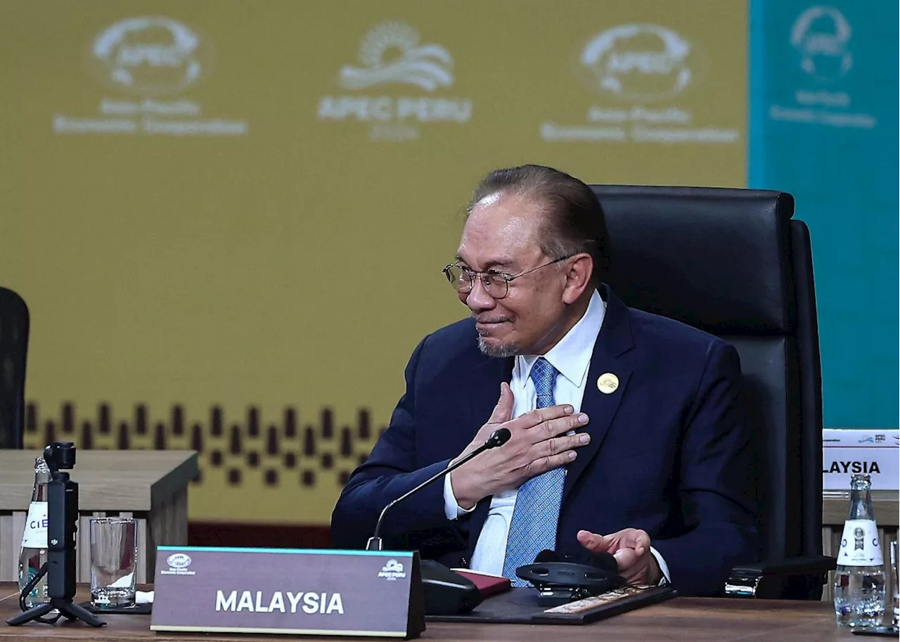 Anwar urges Apec members to recognise the potential of non-traditional alliances