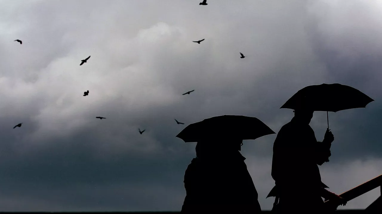 Wetter: Polarluft senkt die Temperaturen - regnerisches Wetter