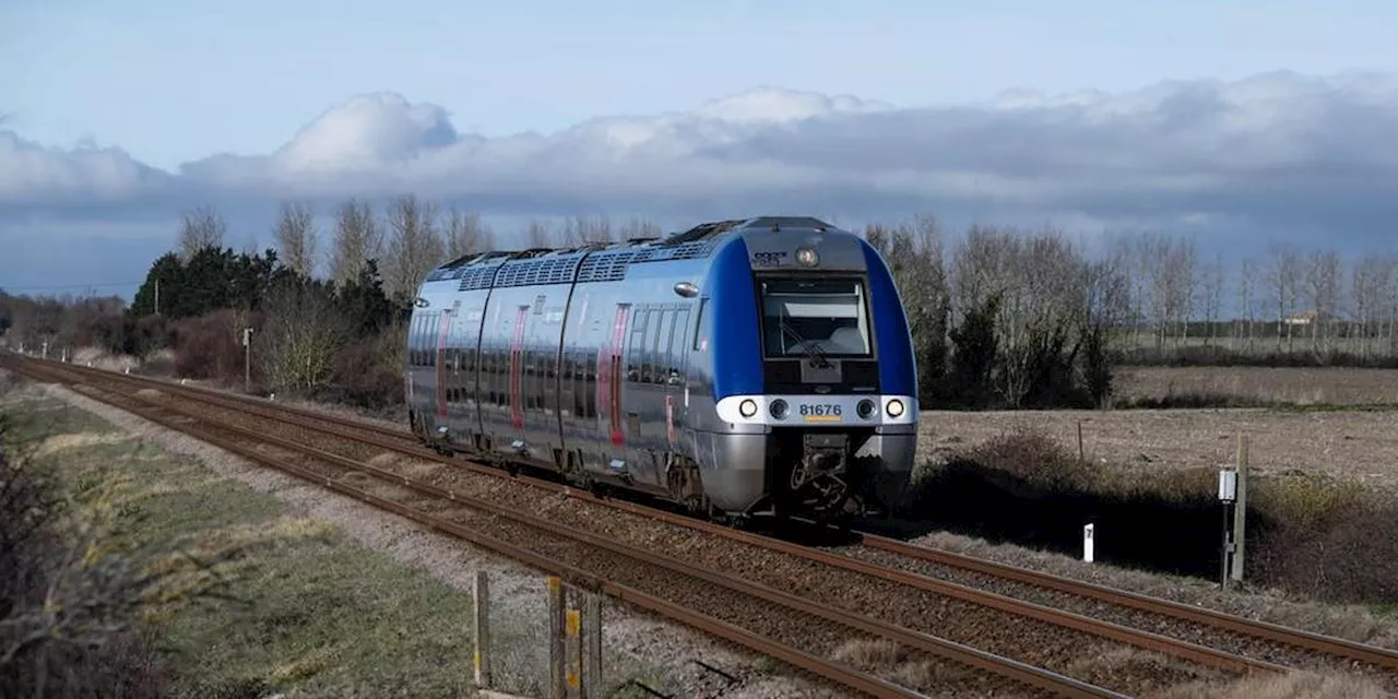 Charente-Maritime : ivres, ils retardent le TER de 40 minutes entre La Rochelle et Saintes