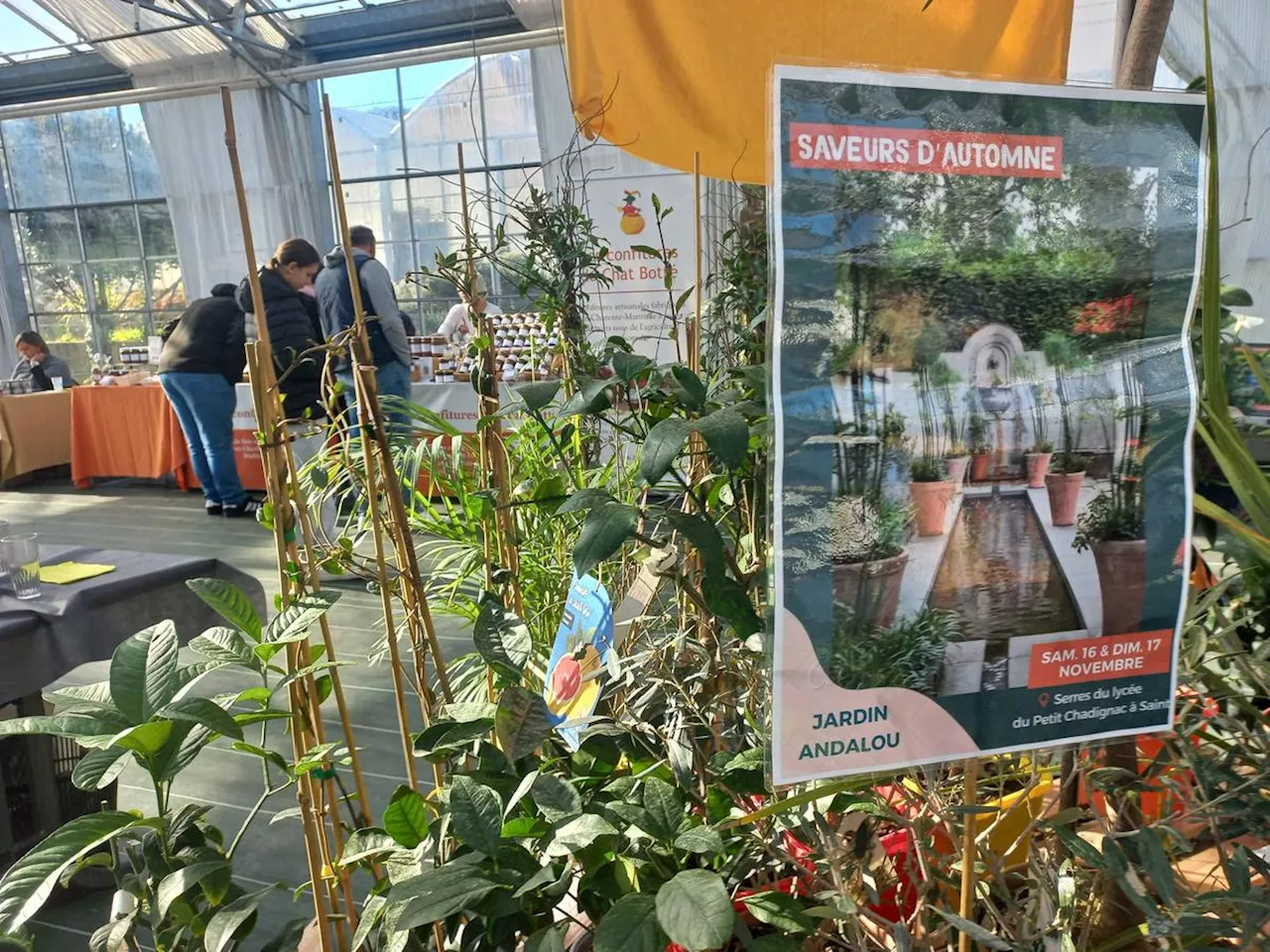 Saintes : les 8es Saveurs d’automne à découvrir jusqu’à ce dimanche