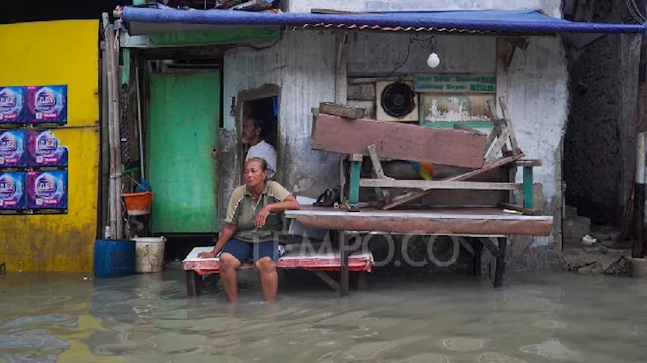 BPBD: Banjir Rob Melanda Lima RT di Jakarta Utara, Ketinggian Air 60 Sentimeter