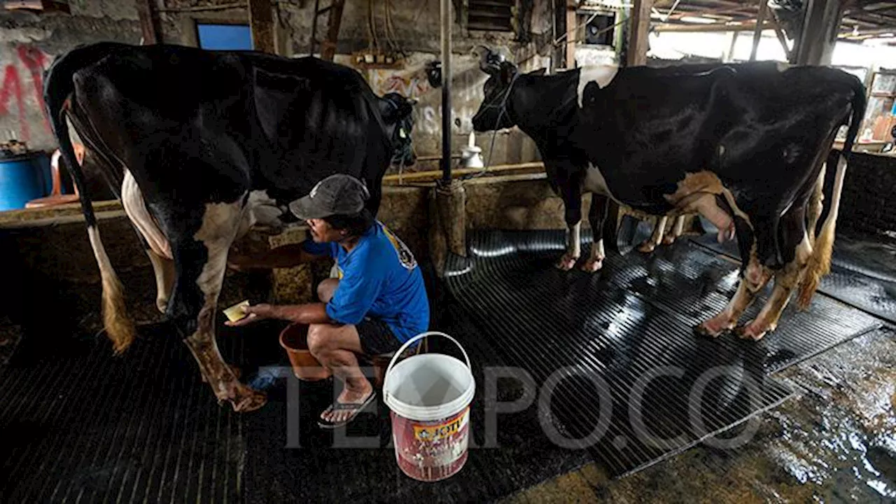 Zulhas Minta Kemendag Perketat Aturan Impor Susu