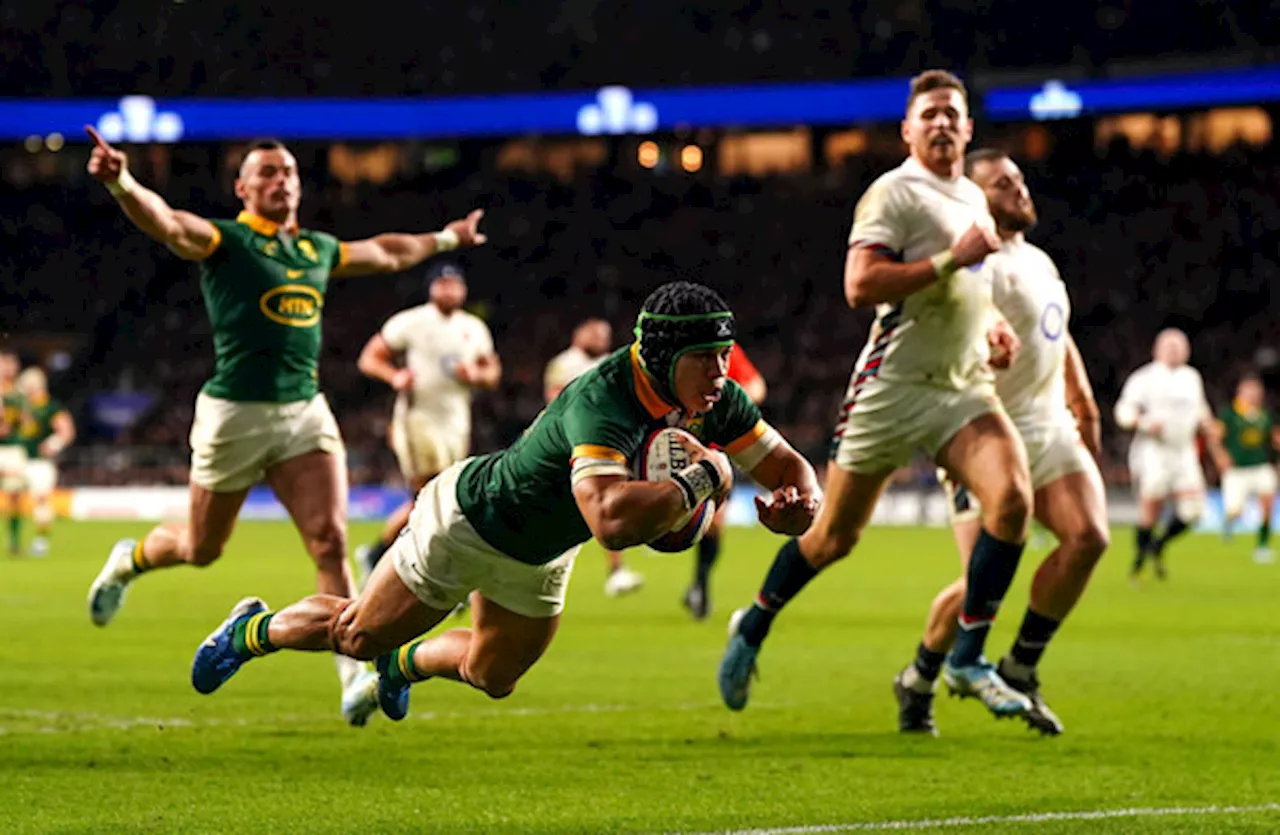 Kolbe at the double as South Africa beat England 29-20