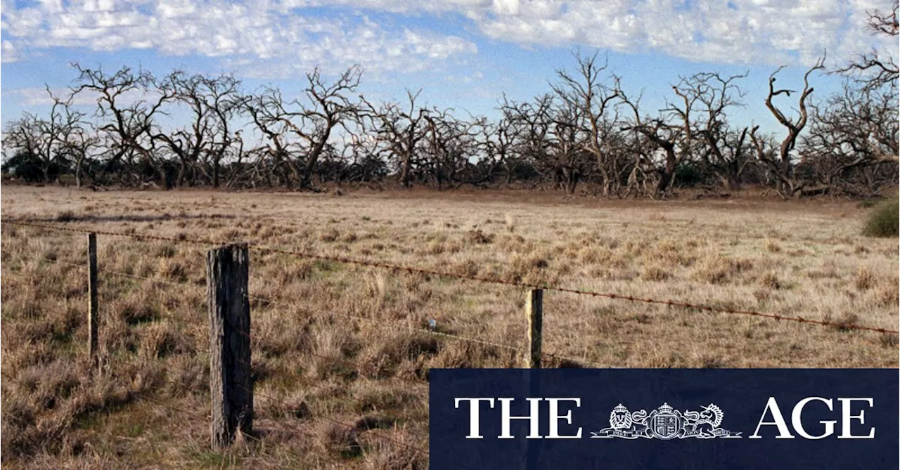 Bushfire warning as residents of small town told to evacuate