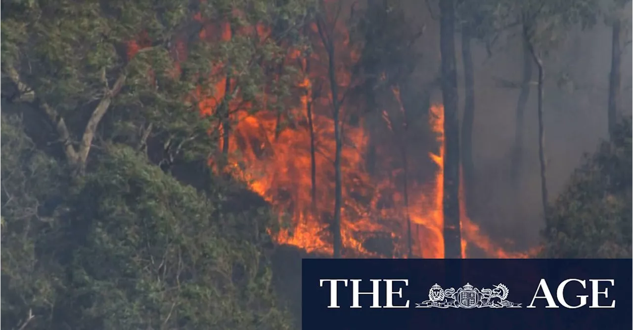 Warnings for residents, hikers as bushfire threatens Great Ocean Road