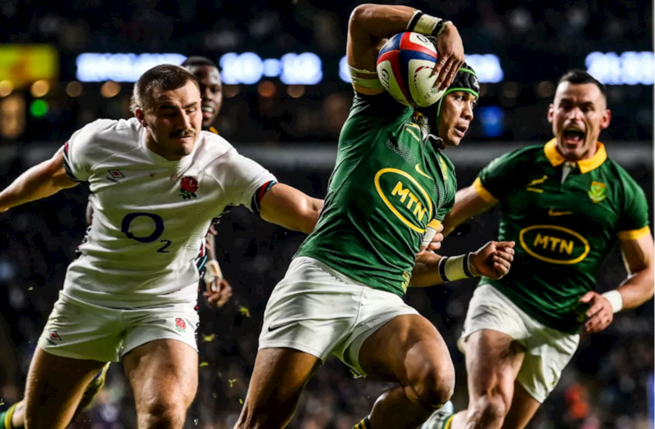 Cheslin Kolbe magic helps Springboks sink England