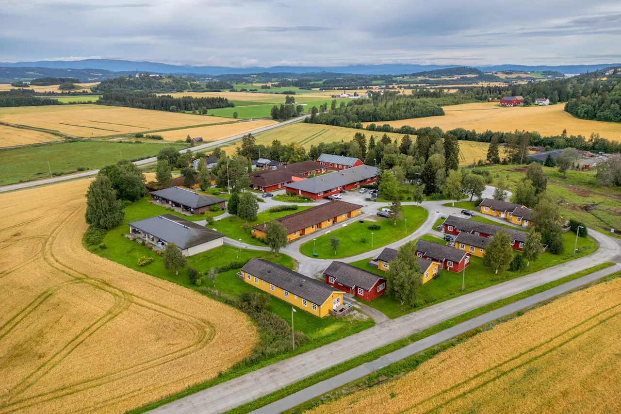 Det er mye snakk om trygghetsboliger, men vi vet lite om hvilke tilbud som kan gis