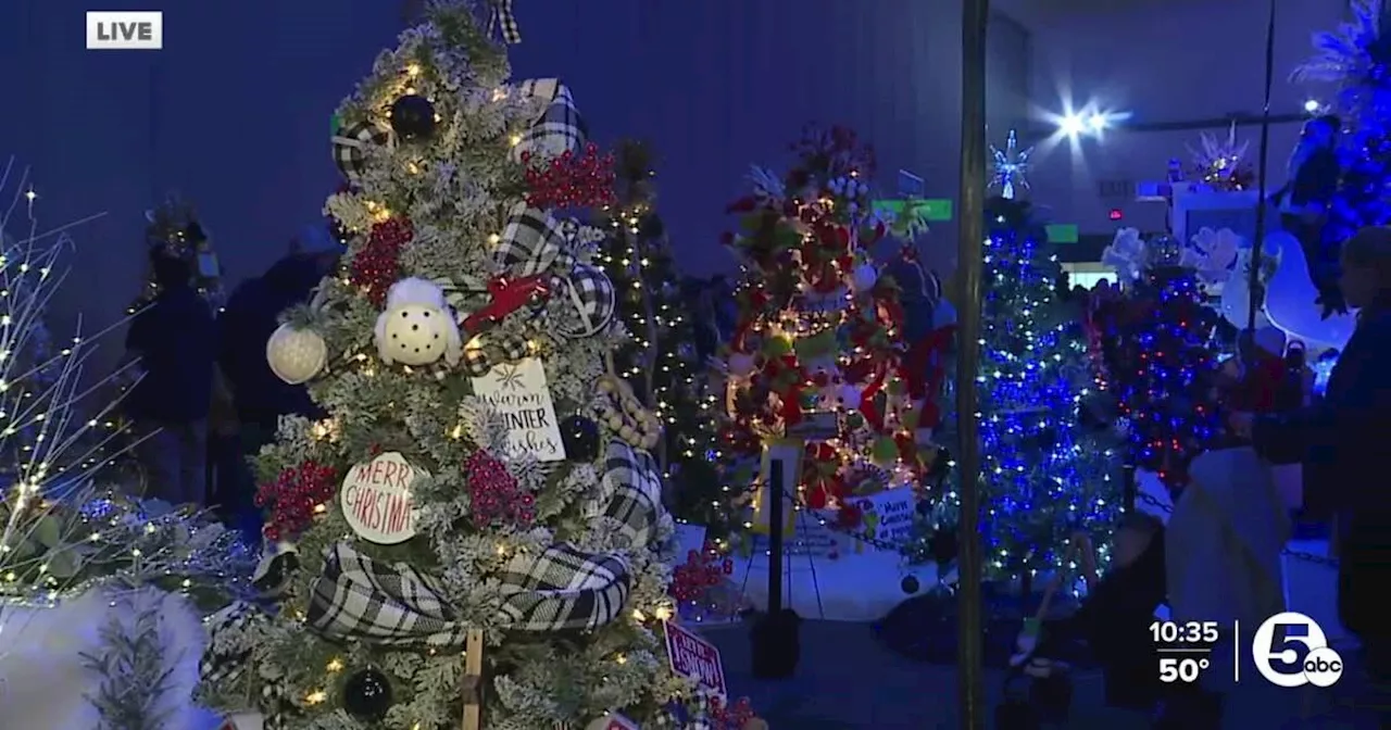 43rd Annual Holiday Tree Festival lights up downtown Akron