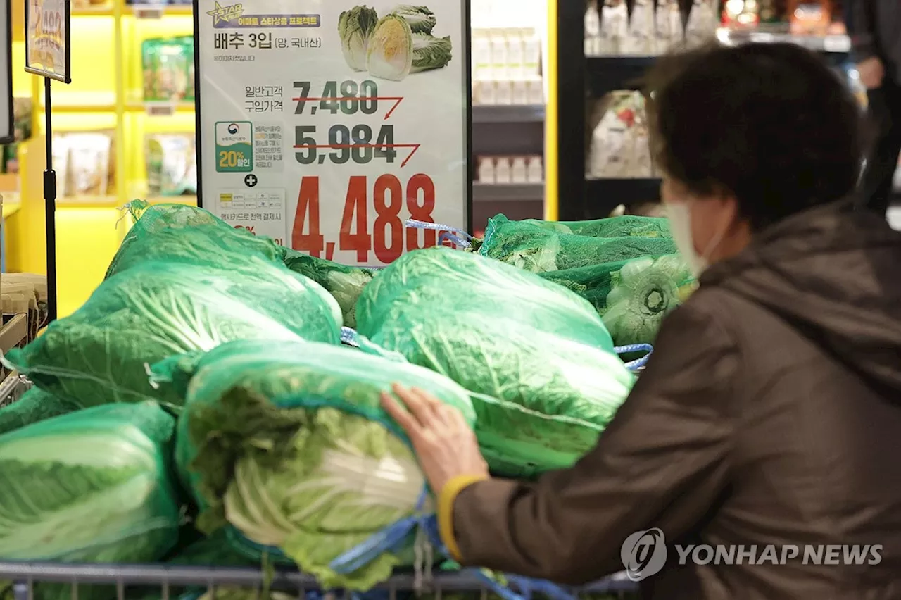 가을배추 출하·할인 확대에…배춧값 한달새 63% 떨어져