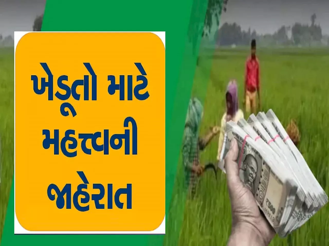 ગુજરાત સરકારે કરી ખેડૂતોના ફાયદાની જાહેરાત, આ યોજનામાં વધારી સહાયની રકમ