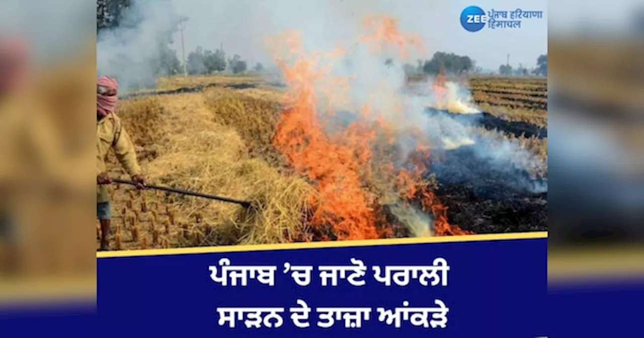 Stubble Burning Case In Punjab: ਪੰਜਾਬ ’ਚ ਵੱਧ ਰਹੇ ਪਰਾਲੀ ਸਾੜਨ ਦੇ ਮਾਮਲੇ, ਜਾਣੋ ਤਾਜ਼ਾ ਆਂਕੜੇ