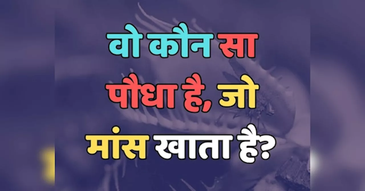 Trending Quiz : वो कौन सा पौधा है, जो मांस खाता है?