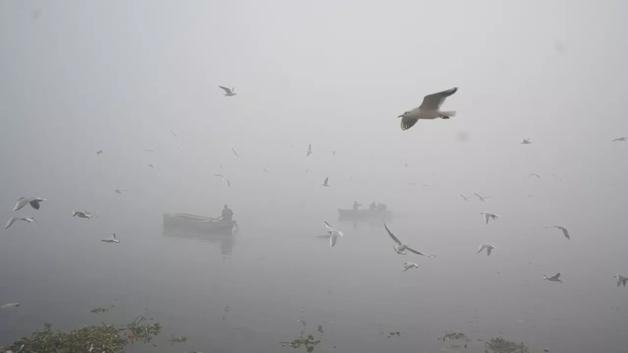 दिल्ली की हवा हुई जहरीली, शाहदरा का AQI 526, कई इलाकों का 450 पार, यहां चेक करें एयर क्वालिटी