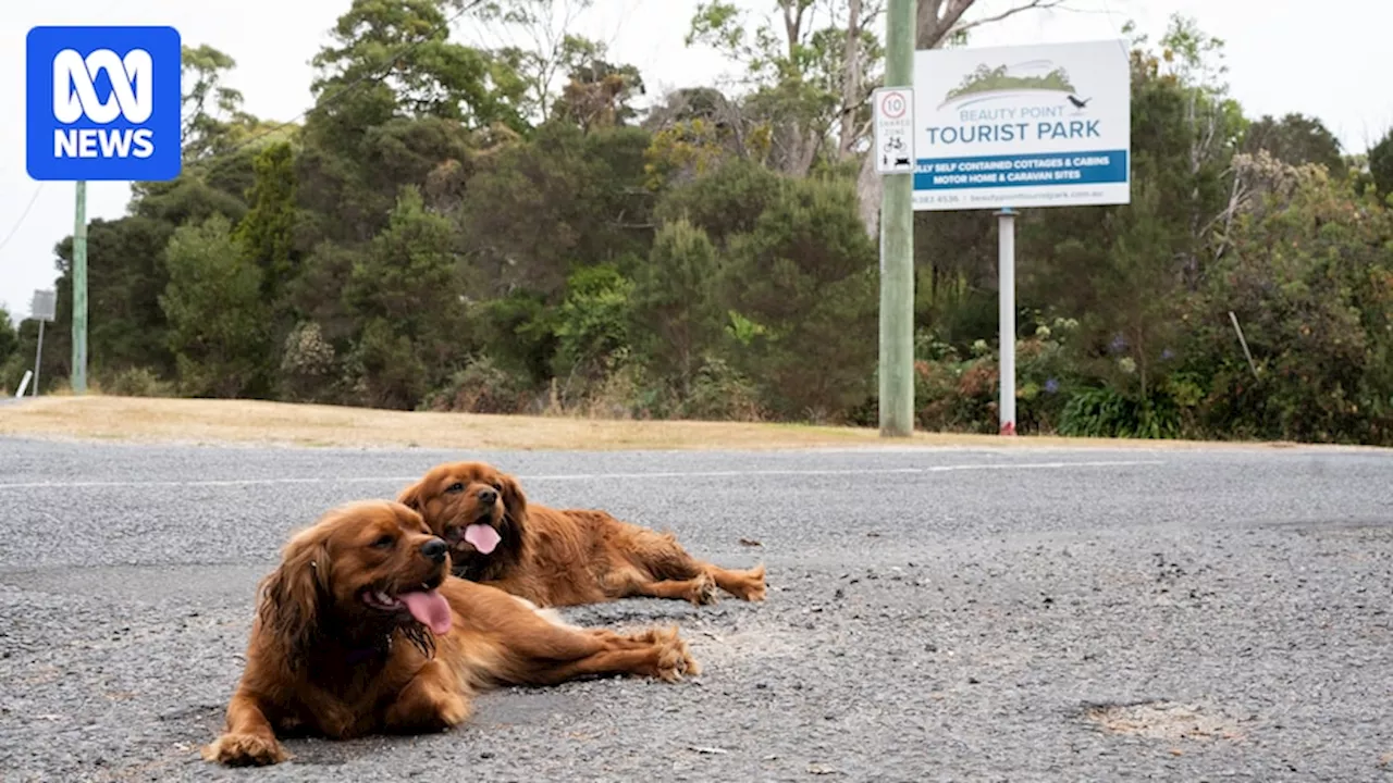 Beauty Point caravan park residents say they are subject to restrictive rules