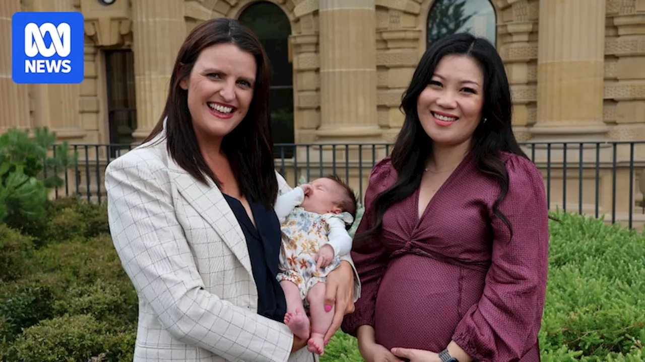 Dedicated childcare room in Victorian parliament after baby boom at Spring Street