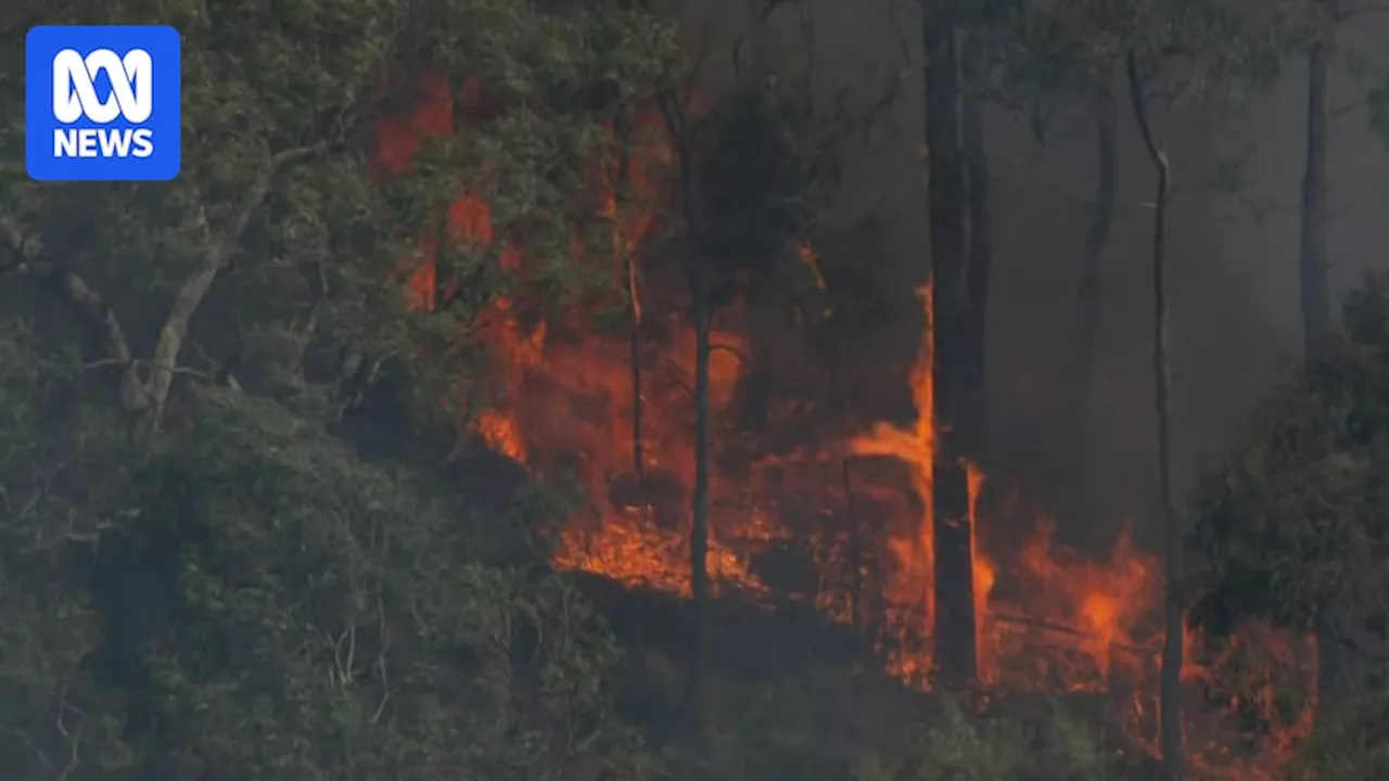 Fires in Victoria's west and near the Great Ocean Road still challenging fire crews