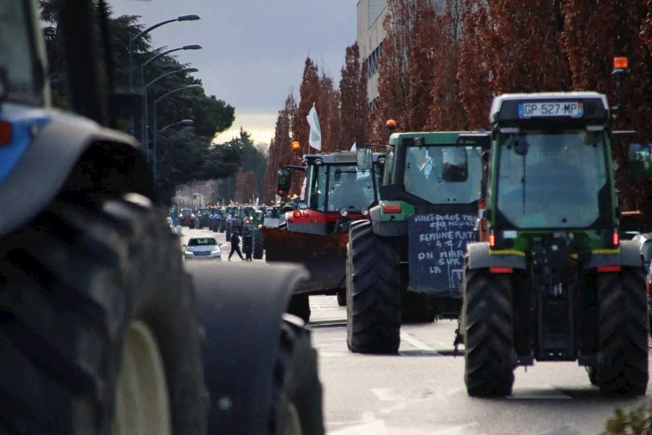 'Feux de la colère' et rassemblements : comment les agriculteurs vont se mobiliser lundi en Haute-Garonne