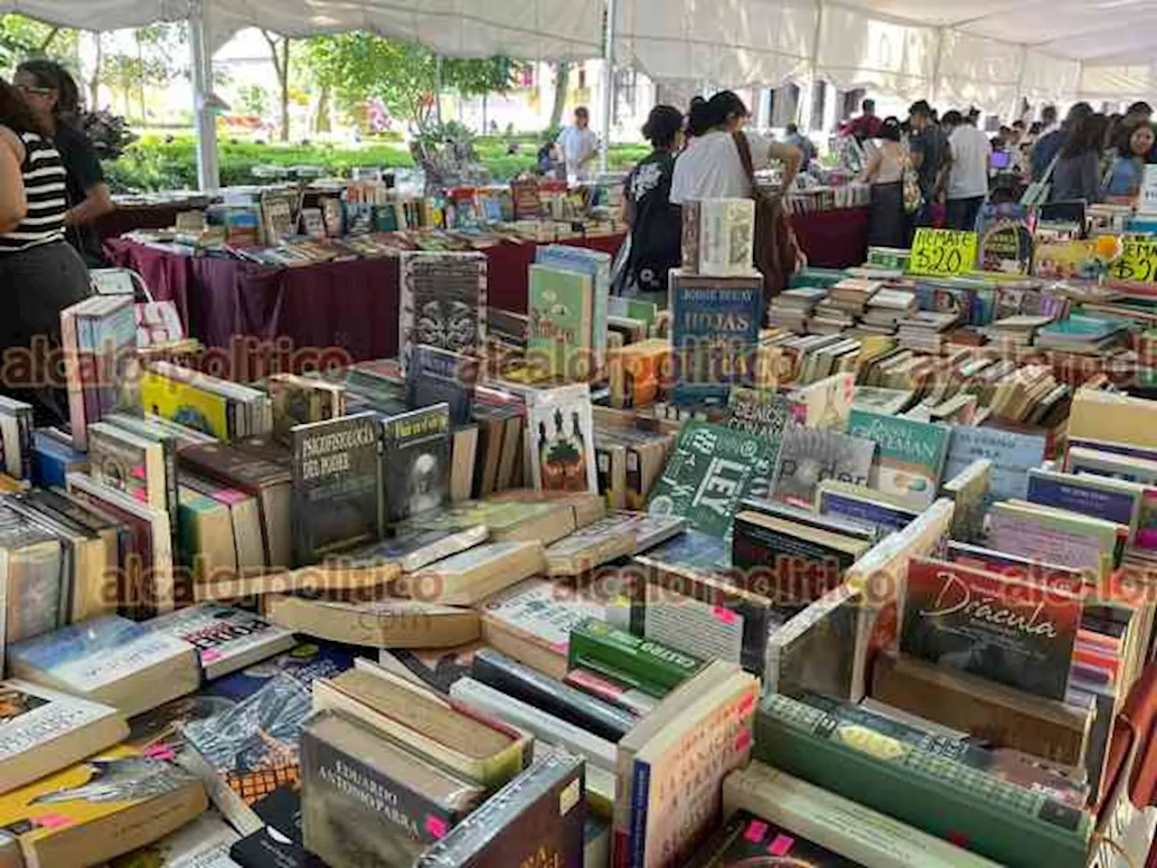 Esperan repunte de ventas en último día de la Feria del Libro del parque Juárez