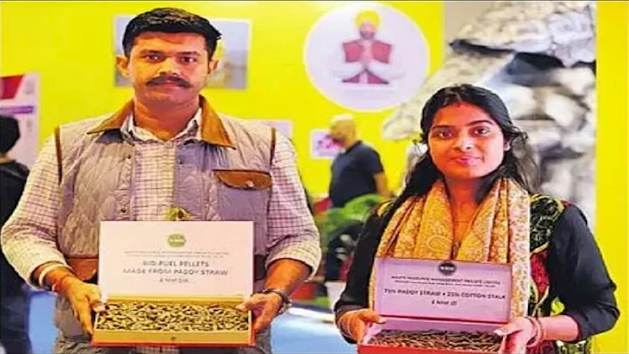 Trade Fair : पैलेट्स से पराली जलाने के घट रहे मामले... किसानों की भर रही जेब, प्रगति मैदान आएंगे तो पता चलेगा