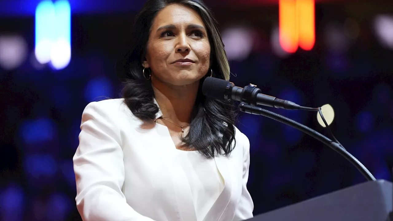 Gabbard's sympathetic views toward Russia cause alarm as Trump's pick to lead intelligence services