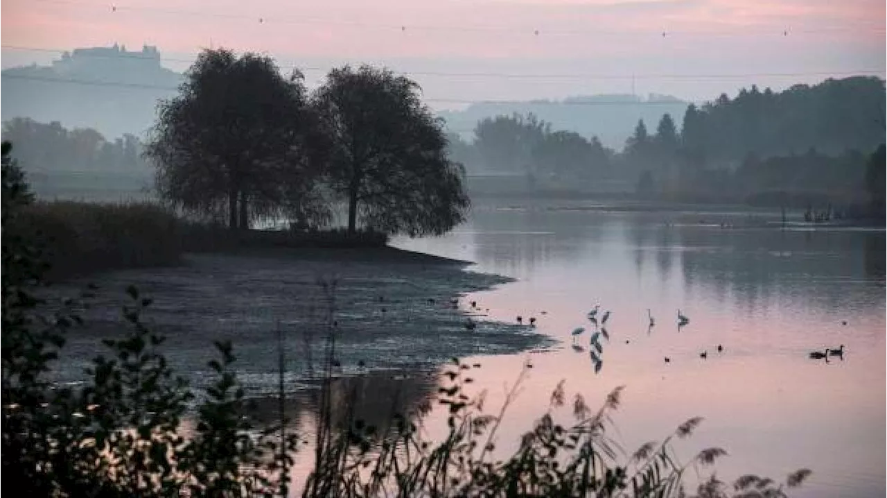 Bayern-Wetter im Ticker: Nebel und Sonne am Nachmittag