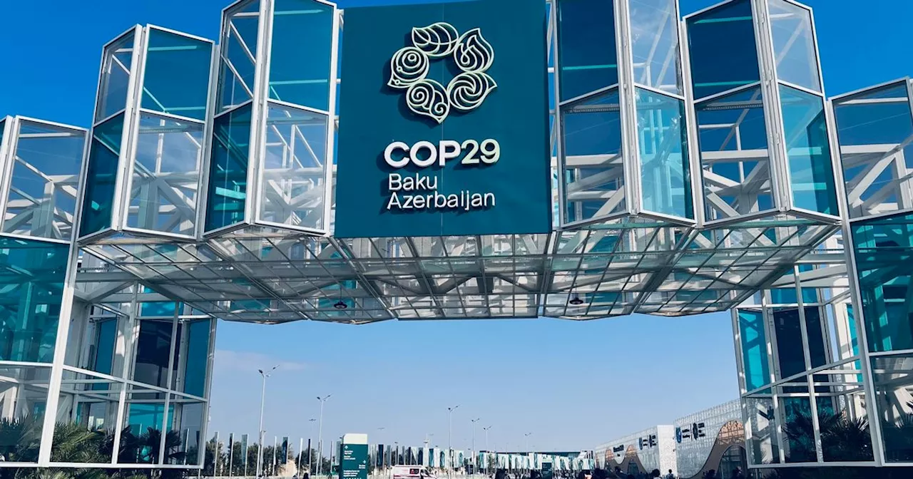 The Earth's Corr at COP29 in Baku