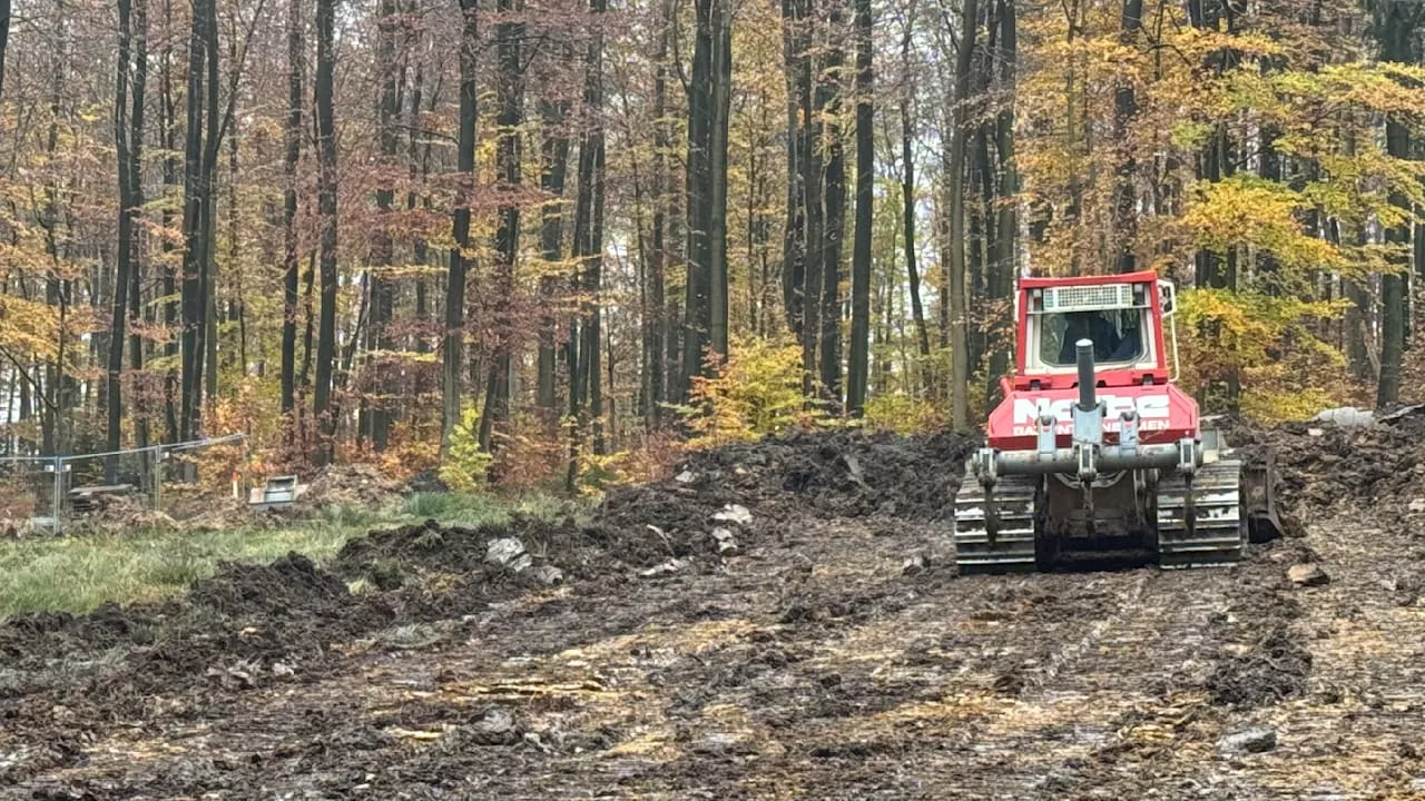 Baubeginn von 18 Windrädern: Bagger planieren Grimms Märchenwald