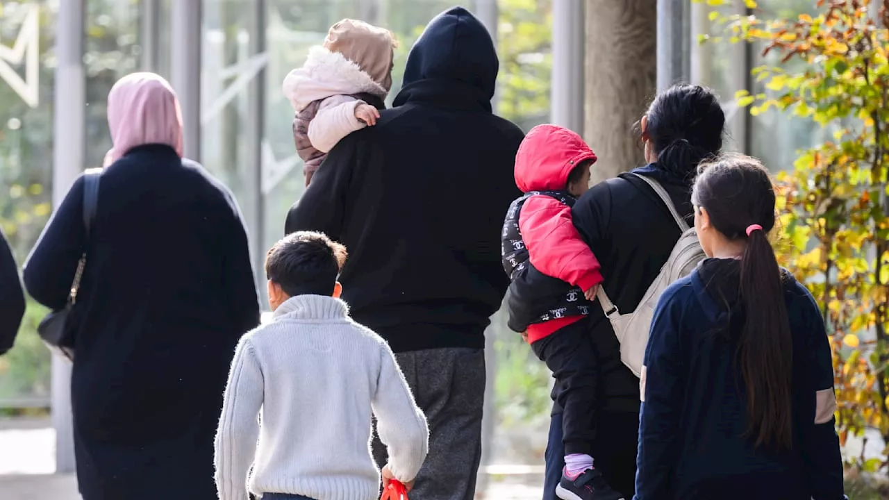 Bürgergeld: Fast jeder dritte Bürgergeld-Euro geht an Ausländer