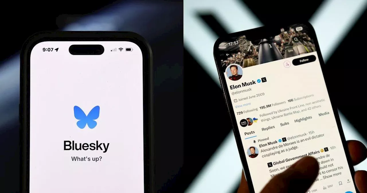 What is Bluesky, the online platform welcoming users leaving Elon Musk's X?