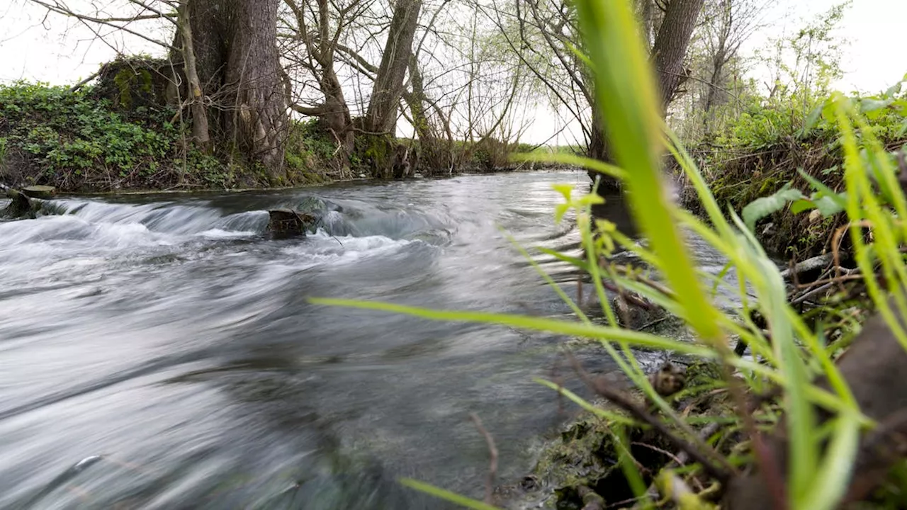 Konflikte ums Wasser im Aargau: «Da haben die Leute noch schnell gehamstert»