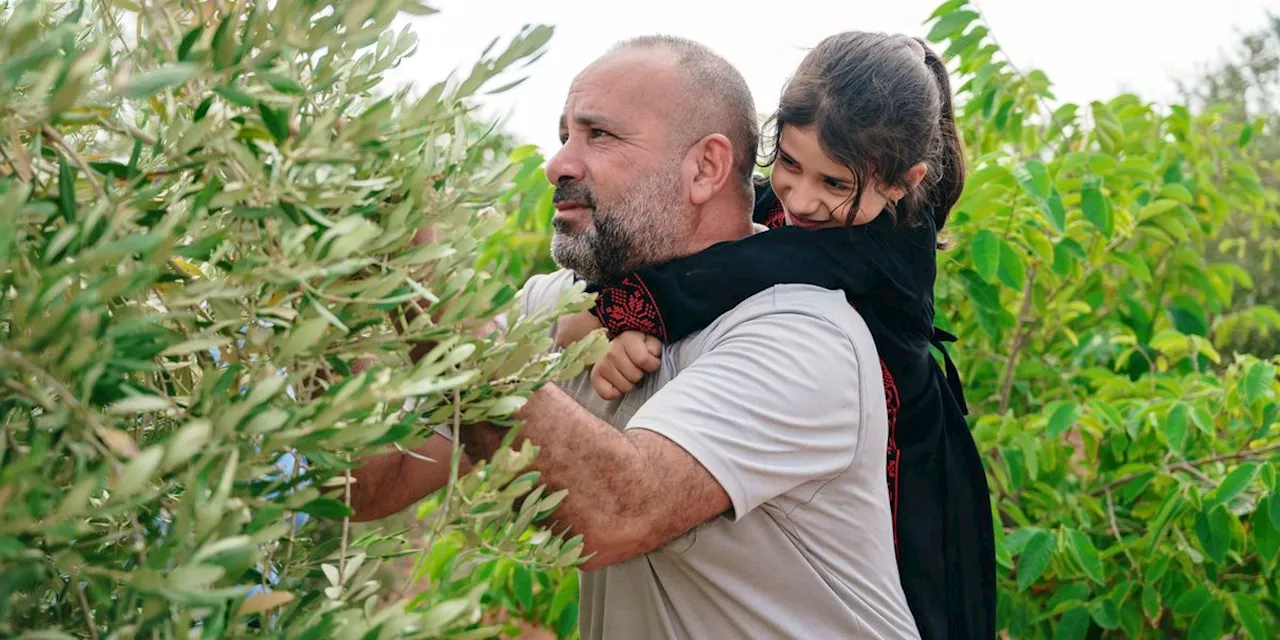 A West Bank Field of Dreams: The Unofficial COP Delegate with the Dirtiest Hands