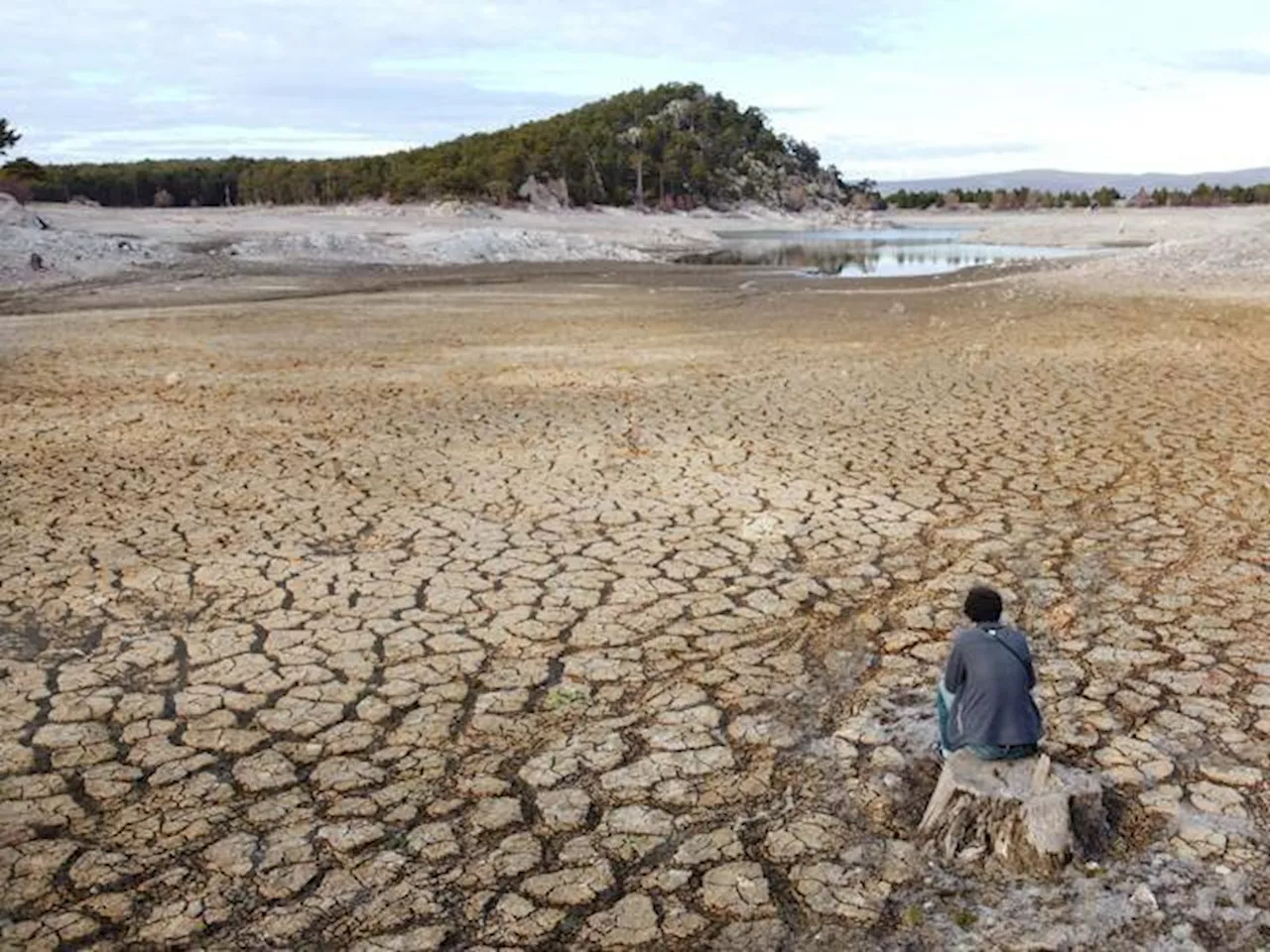 La crisi climatica è una crisi sanitaria: le conseguenze per il Pianeta e gli esseri umani