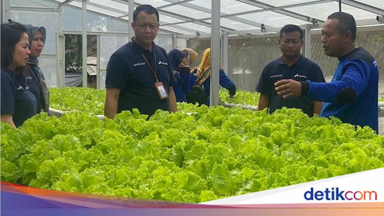 Begini Peran Agribisnis buat Jaga Pasokan Pangan Nasional