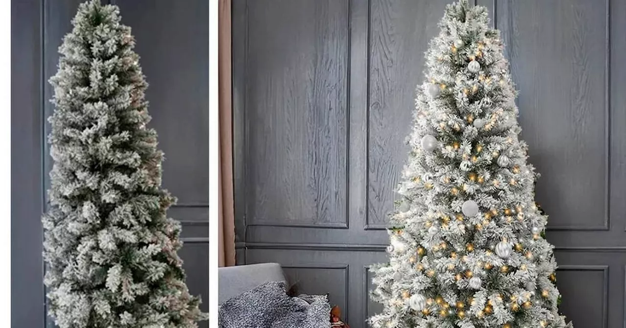 Debenhams slash price of stunning half Christmas tree by over 50%