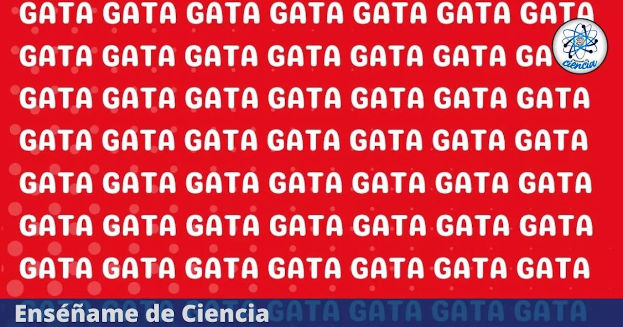 Acertijo visual nivel EXPERTO: ¿Puedes ver la palabra diferente?