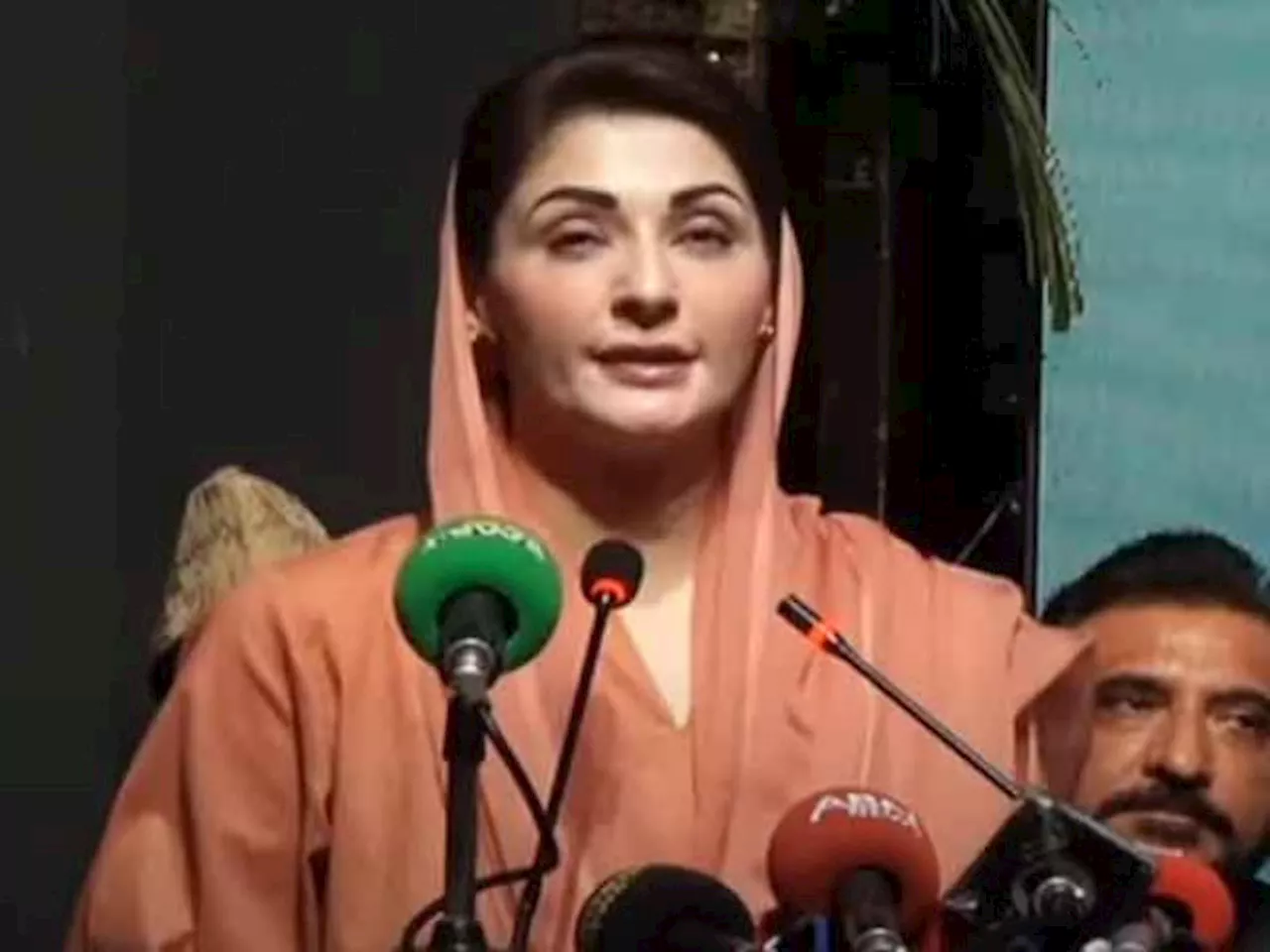 وزیراعلیٰ مریم نواز کا جنوبی پنجاب میں مستحق خواتین کو گائیں اور بھینسیں دینے کا اعلان