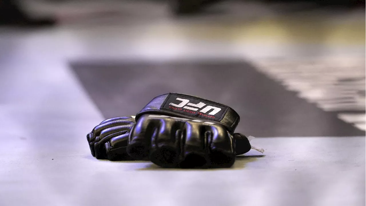 Former UFC Champion And Veteran Announce Retirements Following Losses