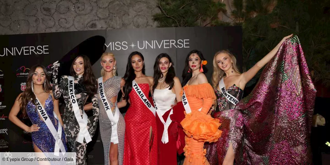 Miss Univers 2024 : qui est la gagnante Victoria Kjær Theilvig, Miss Danemark ?