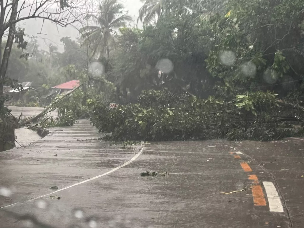 PCO: Local chief execs to decide on class, work suspensions amid Super Typhoon Pepito