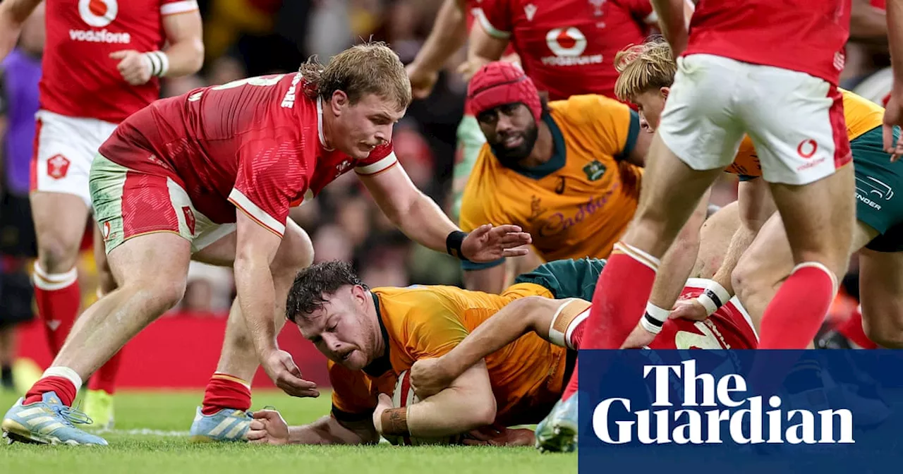 Joe Schmidt finds beauty in the basics to turbocharge Australia’s dazzling revival