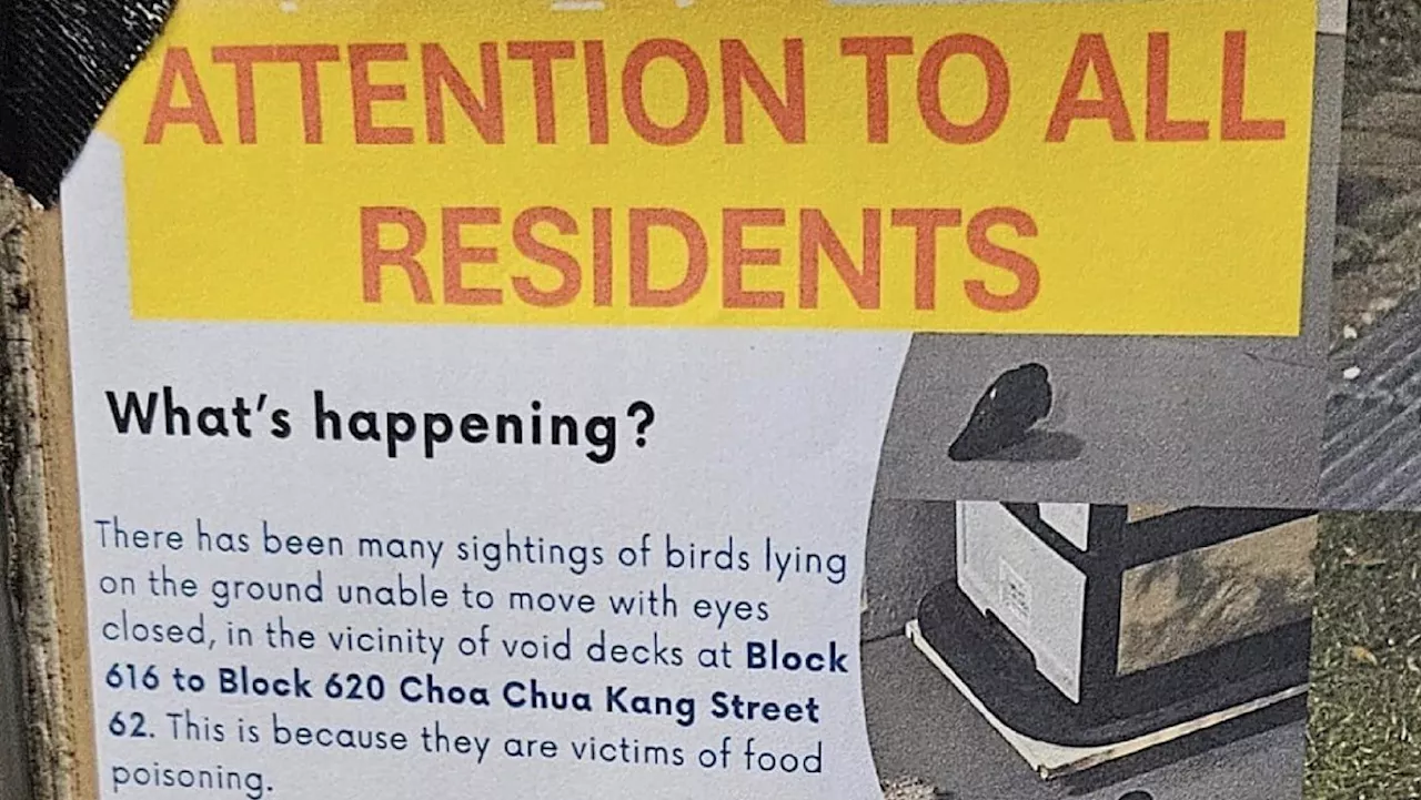 ACRES warns residents to take precautions with their dogs after a man was seen poisoning pigeons at Choa Chu