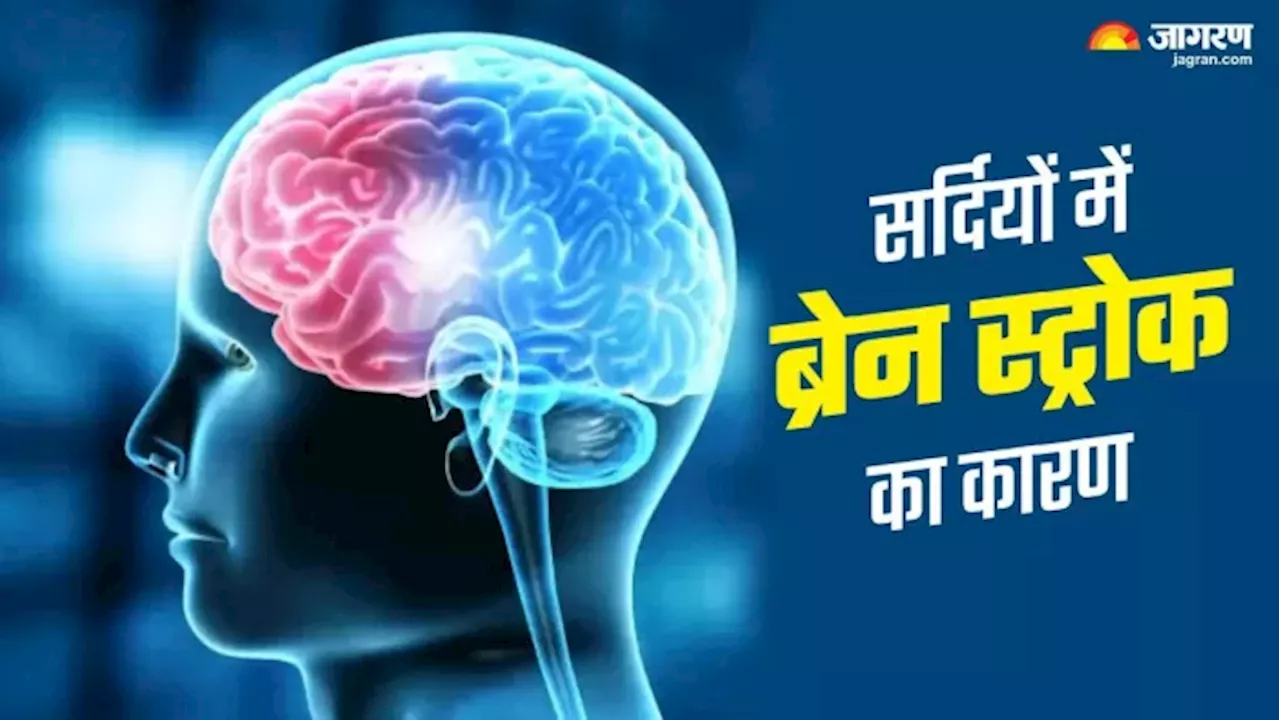 ठंड में क्‍यों बढ़ जाता है Stroke का खतरा? Brain को हेल्‍दी रखने के लिए लाइफस्‍टाइल में करें ये बदलाव