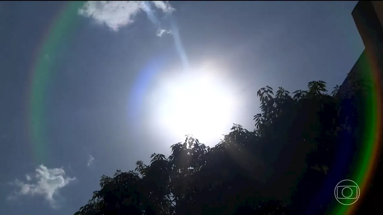 Calor é mais impactante que chuva no aumento dos casos de dengue, indica pesquisa | Jornal Nacional