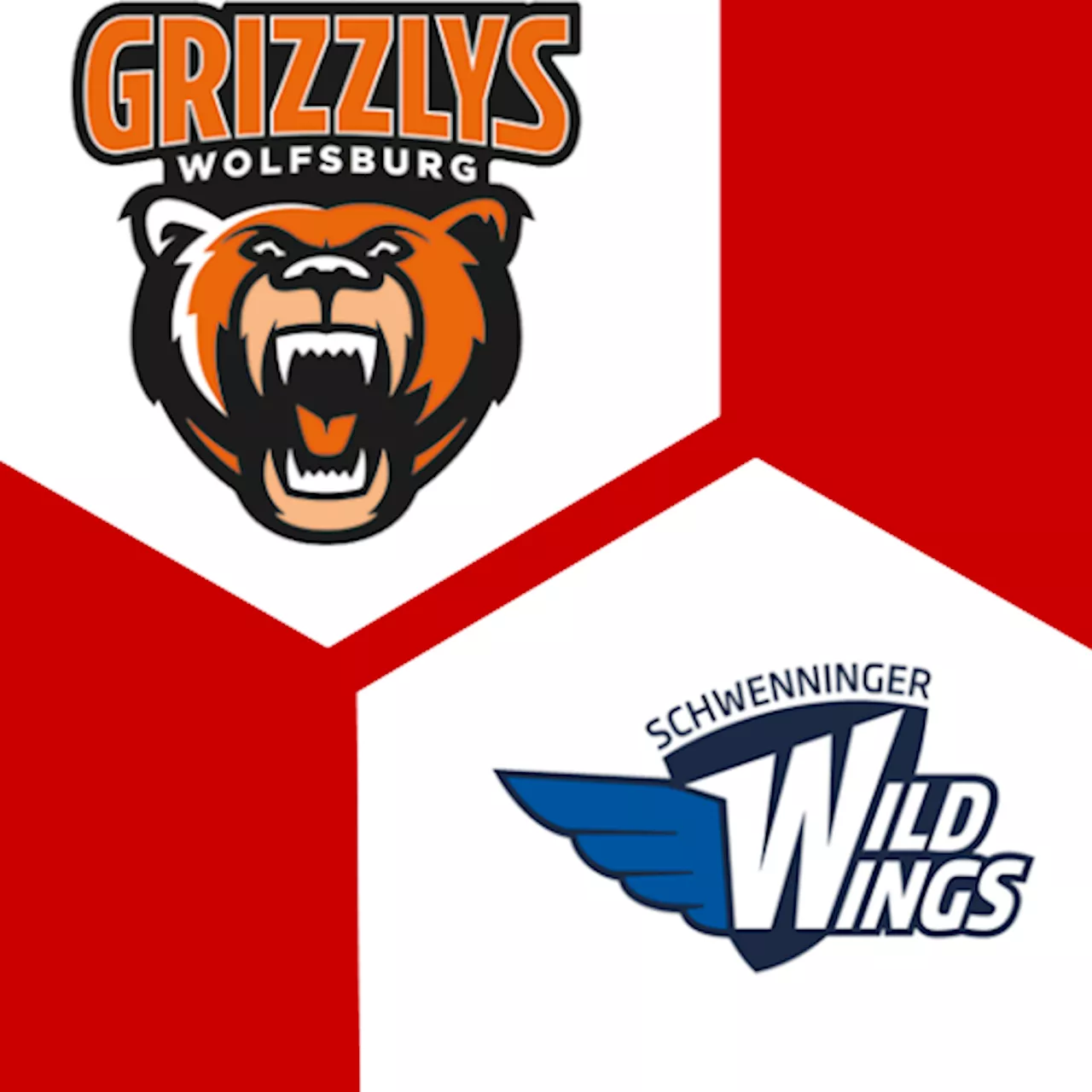 Schw. Wild Wings 4:1 | 17. Spieltag | Deutsche Eishockey-Liga 2024/25