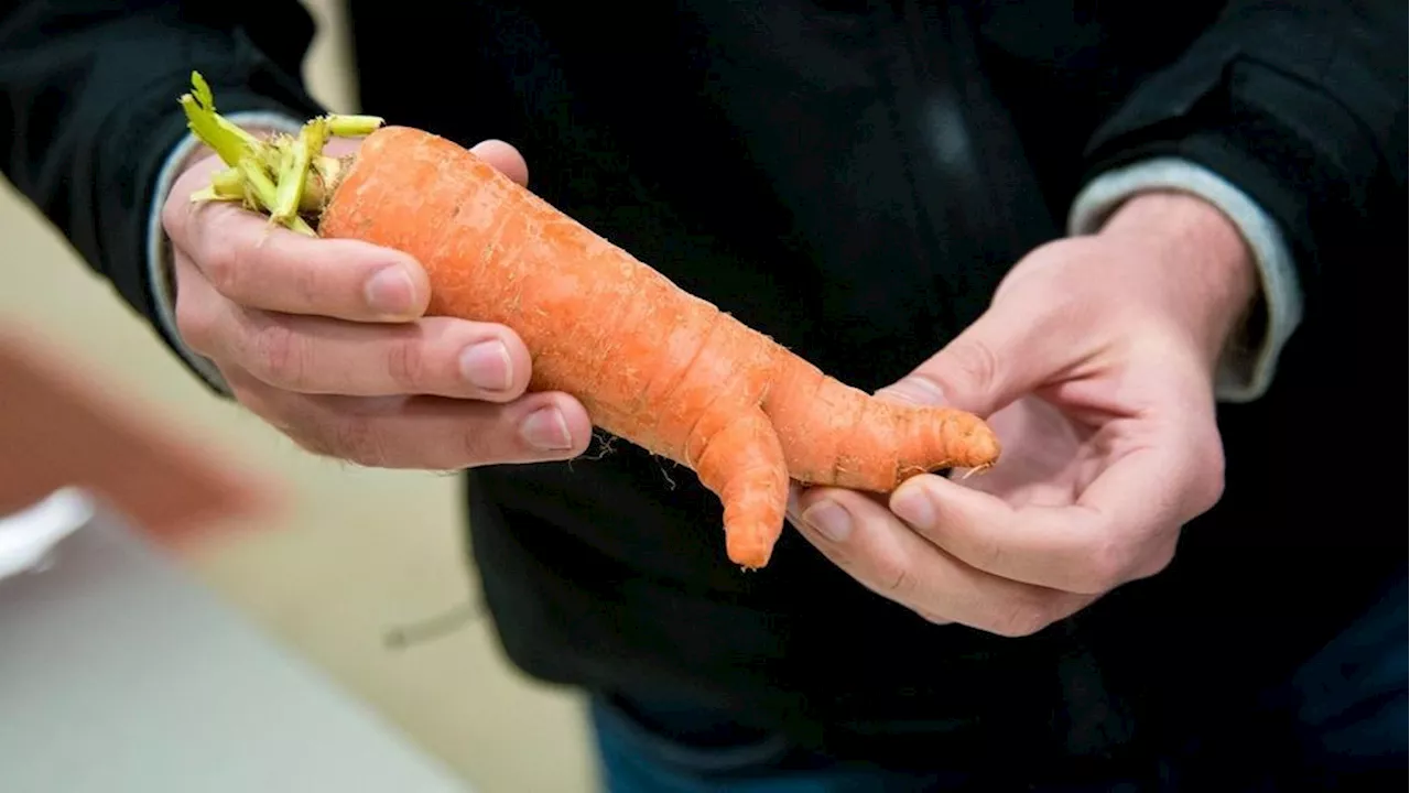 E. coli outbreak linked to organic carrots kills one, infects 39 across 18 states