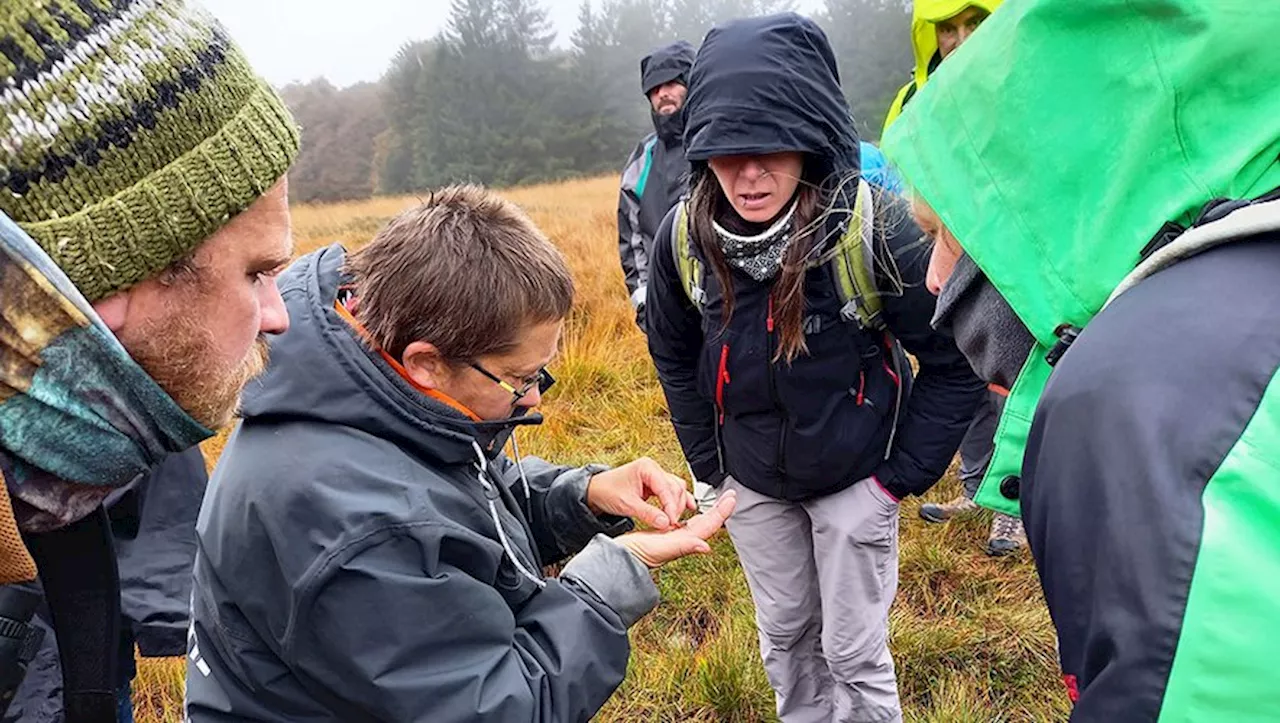 Le parc de l’Aubrac fait l’école buissonnière