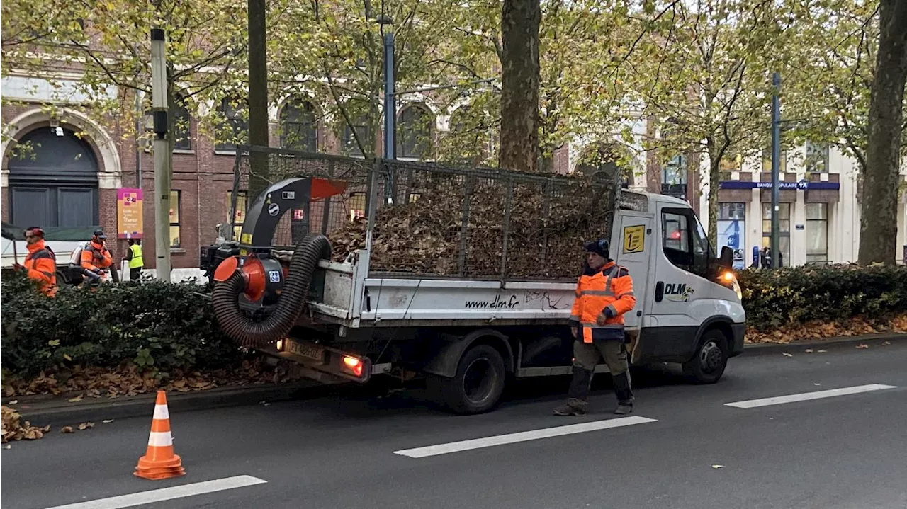 200 000 euros pour ramasser les feuilles mortes à Roubaix