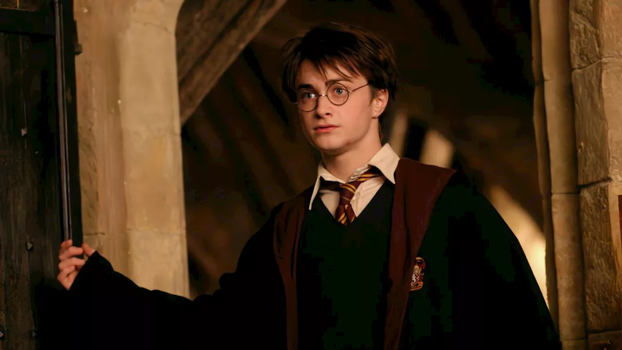 Peta Perampok Harry Potter Laku Hampir Rp5 Miliar, Disumbangkan untuk Perawatan Pemeran Pengganti Daniel Radcliff