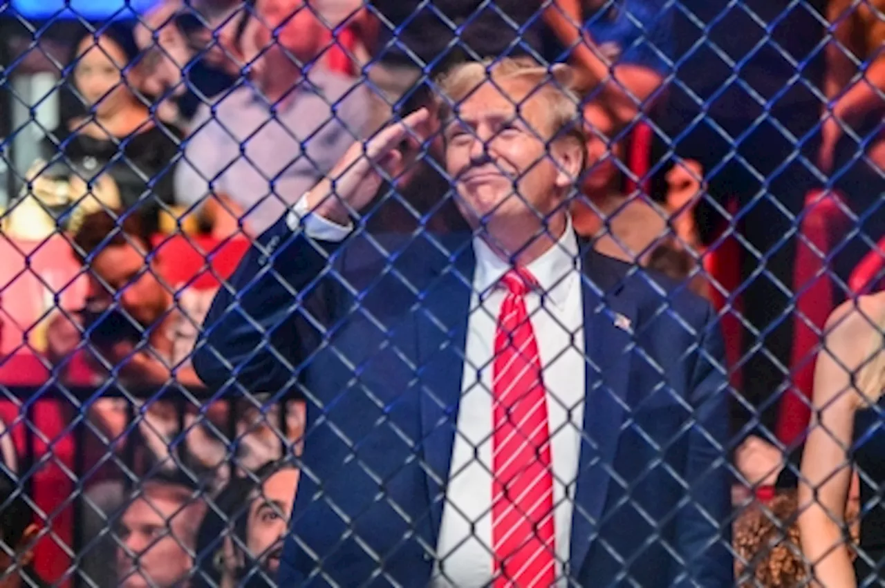 Trump and the UFC: Cage fighters, fans and a shared love for combat sports